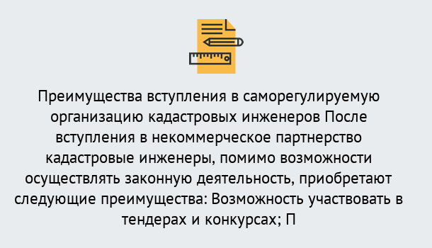 Почему нужно обратиться к нам? Миасс Что дает допуск СРО кадастровых инженеров?